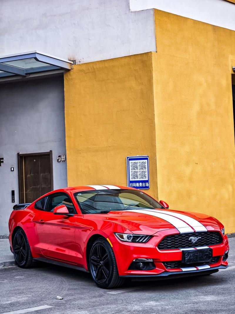 野马主持,野马主题