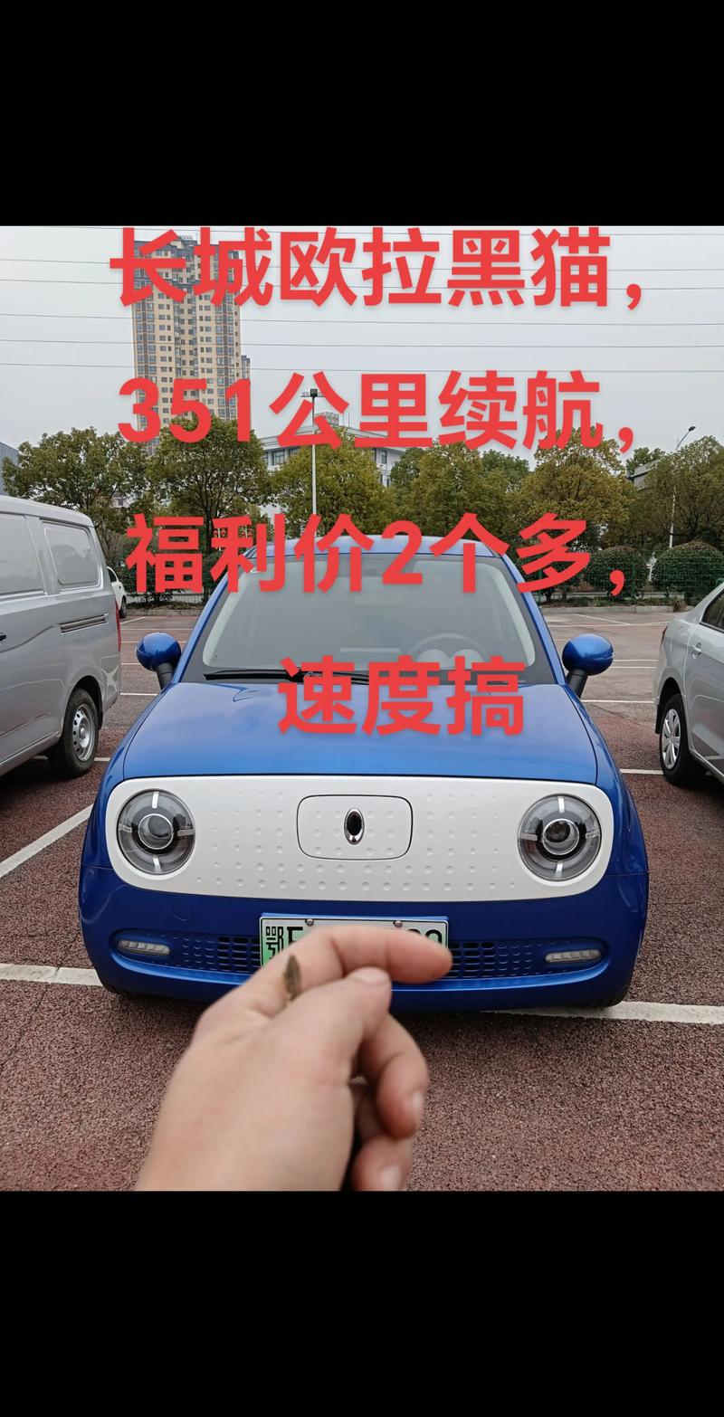 长城欧拉新能源汽车官网电动 长城欧拉电动汽车价格好猫