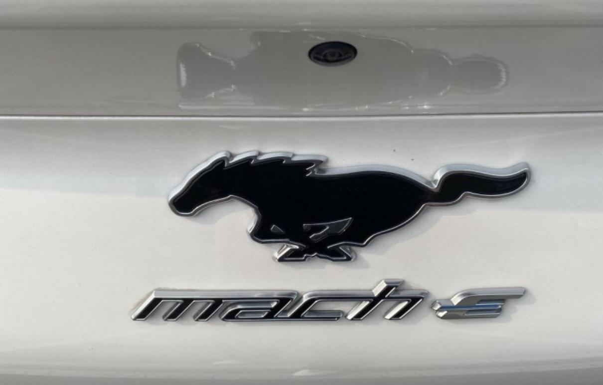 【野马汽车标志图片大全集,野马汽车标志图片大全集高清】