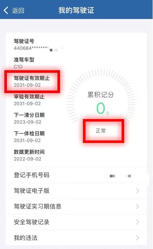 驾驶证自助服务查询(驾驶证网络查询)