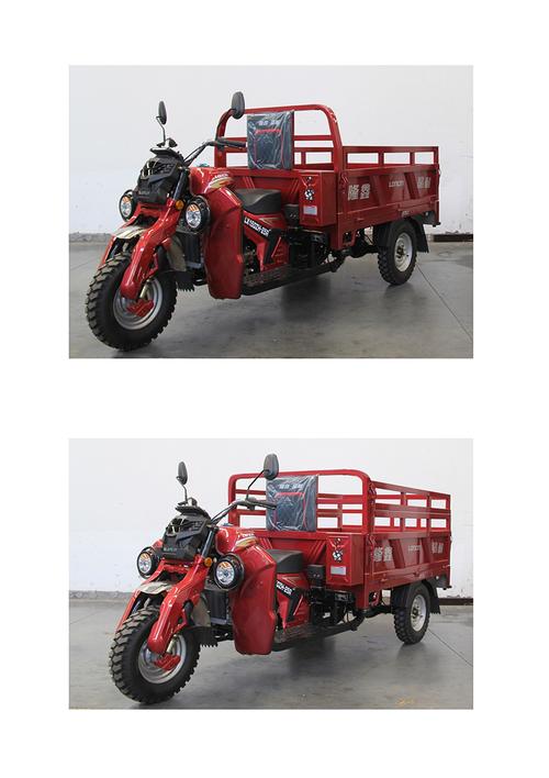 隆鑫三轮摩托,隆鑫三轮摩托车车架号在什么地方