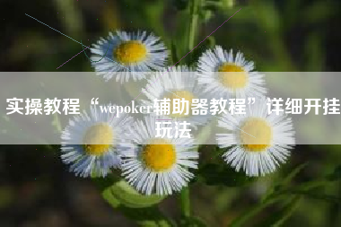 实操教程“wepoker辅助器教程”详细开挂玩法