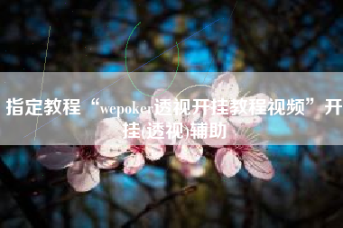 指定教程“wepoker透视开挂教程视频”开挂(透视)辅助