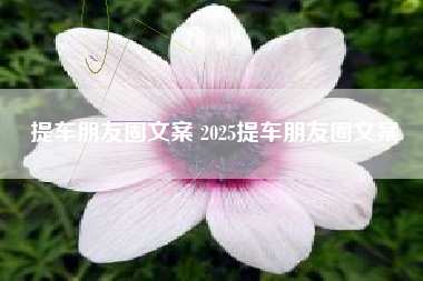 提车朋友圈文案 2025提车朋友圈文案
