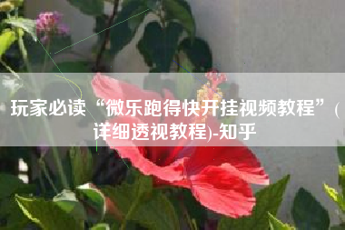 玩家必读“微乐跑得快开挂视频教程”(详细透视教程)-知乎