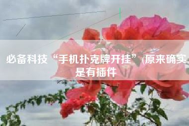 必备科技“手机扑克牌开挂”(原来确实是有插件