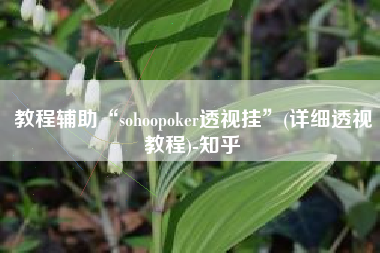 教程辅助“sohoopoker透视挂”(详细透视教程)-知乎