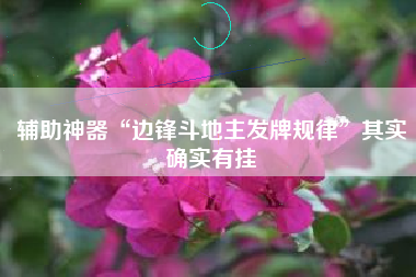 辅助神器“边锋斗地主发牌规律”其实确实有挂