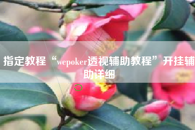 指定教程“wepoker透视辅助教程”开挂辅助详细