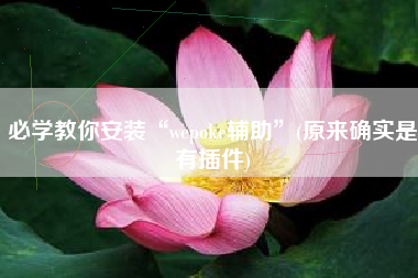 必学教你安装“wepoke辅助”(原来确实是有插件)