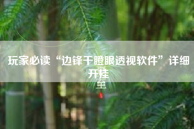 玩家必读“边锋干瞪眼透视软件”详细开挂