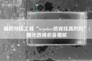 辅助开挂工具“wrpoker透视挂真的吗”(曝光透视必备猫腻