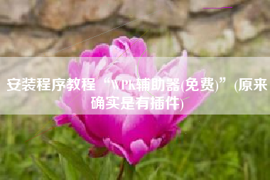 安装程序教程“WPK辅助器(免费)”(原来确实是有插件)