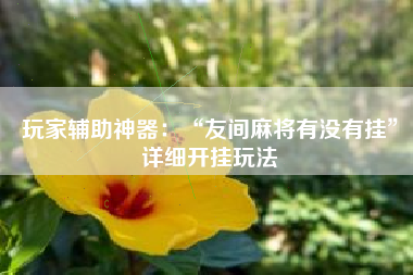 玩家辅助神器：“友间麻将有没有挂”详细开挂玩法