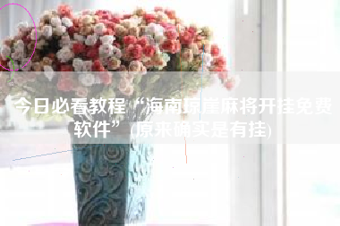 今日必看教程“海南琼崖麻将开挂免费软件”(原来确实是有挂)