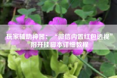 玩家辅助神器：“微信内置红包透视”附开挂脚本详细教程