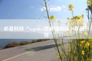 必备科技“wepoKer透视辅助挂”详细开挂