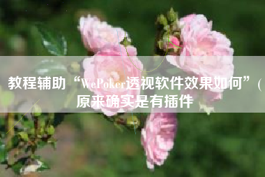 教程辅助“WePoker透视软件效果如何”(原来确实是有插件