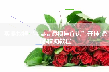 实操教程“wepoker透视挂方法”开挂(透视)辅助教程