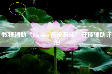 教程辅助“hhpoker有没有挂”开挂辅助详细