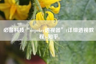 必备科技“wepoker透视器”(详细透视教程)-知乎
