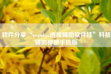 软件分享“wepoker透视辅助软件挂”科技辅助神器手机版