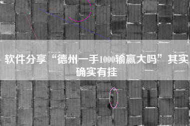 软件分享“德州一手1000输赢大吗”其实确实有挂