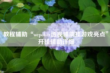 教程辅助“wepoker透视辅助挂游戏亮点”开挂辅助详细