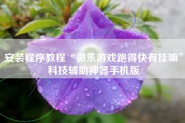 安装程序教程“微乐游戏跑得快有挂嘛”科技辅助神器手机版