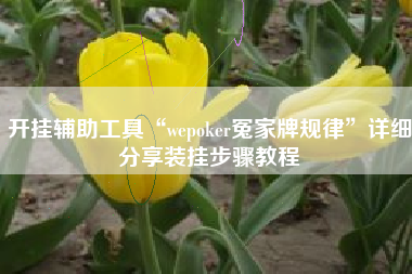 开挂辅助工具“wepoker冤家牌规律”详细分享装挂步骤教程
