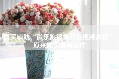 真实辅助“微乐跑得快开挂视频教程”(原来确实是有插件)