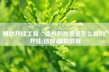 辅助开挂工具“德州的胜率是怎么算的”开挂(透视)辅助教程