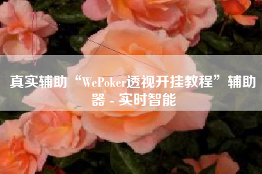 真实辅助“WePoker透视开挂教程”辅助器 - 实时智能