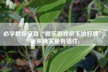必学教你安装“微乐游戏房主给好牌”(原来确实是有插件)
