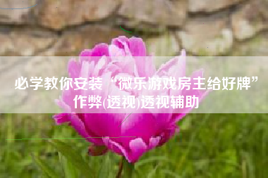 必学教你安装“微乐游戏房主给好牌”作弊(透视)透视辅助