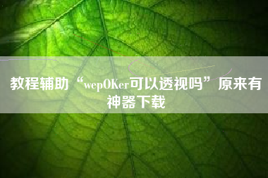 教程辅助“wepOKer可以透视吗”原来有神器下载