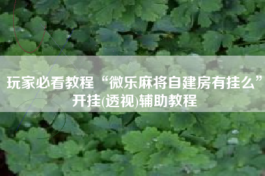 玩家必看教程“微乐麻将自建房有挂么”开挂(透视)辅助教程