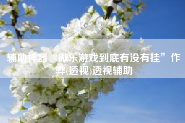 辅助神器“微乐游戏到底有没有挂”作弊(透视)透视辅助