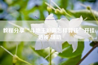 教程分享“斗地主输赢怎样算钱”开挂(透视)辅助