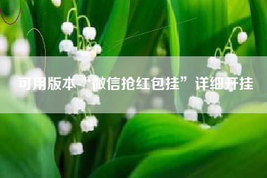 可用版本“微信抢红包挂”详细开挂