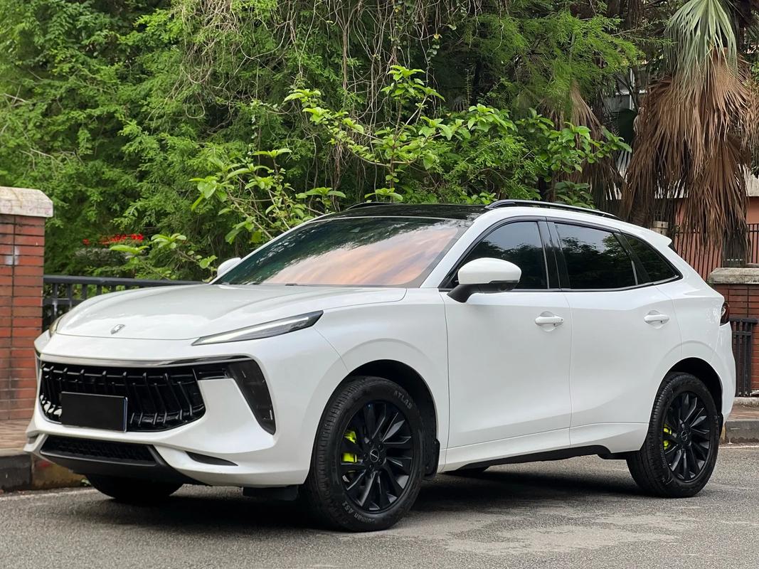 东风风行t5evo混动,东风风行t5 evo混动