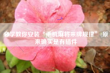 必学教你安装“手机麻将来牌规律”(原来确实是有插件