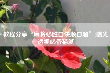 教程分享“麻将必胜口诀顺口溜”(曝光透视必备猫腻