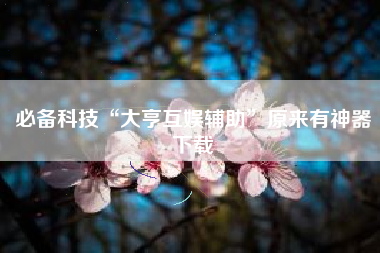 必备科技“大亨互娱辅助”原来有神器下载