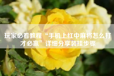 玩家必看教程“手机上红中麻将怎么打才必赢”详细分享装挂步骤