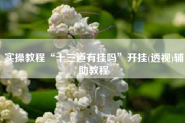 实操教程“十三道有挂吗”开挂(透视)辅助教程