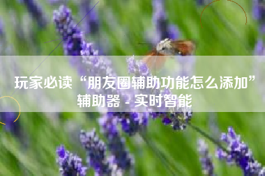 玩家必读“朋友圈辅助功能怎么添加”辅助器 - 实时智能