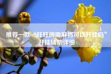推荐一款“旺旺闽南麻将可以开挂吗”开挂辅助详细