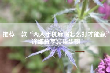 推荐一款“两人手机麻将怎么打才能赢”详细分享装挂步骤