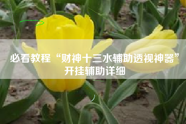 必看教程“财神十三水辅助透视神器”开挂辅助详细